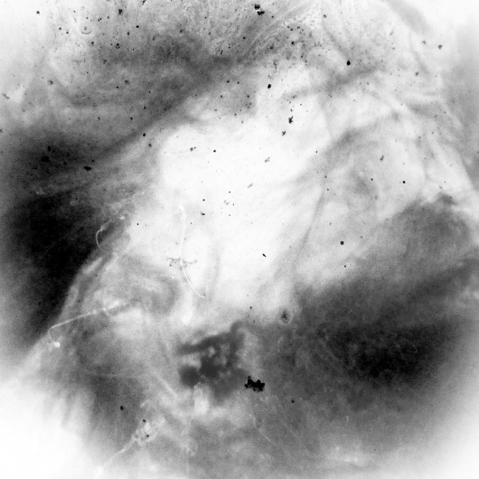 SVARTVITT – « DANIEL JOURNAL #white #black #johansson #photography #and #daniel #macro
