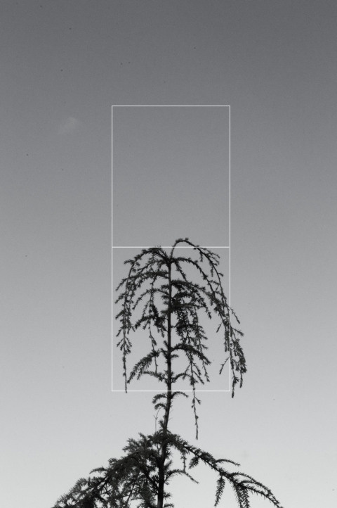 Firn & Fire | PICDIT #design #collage #art