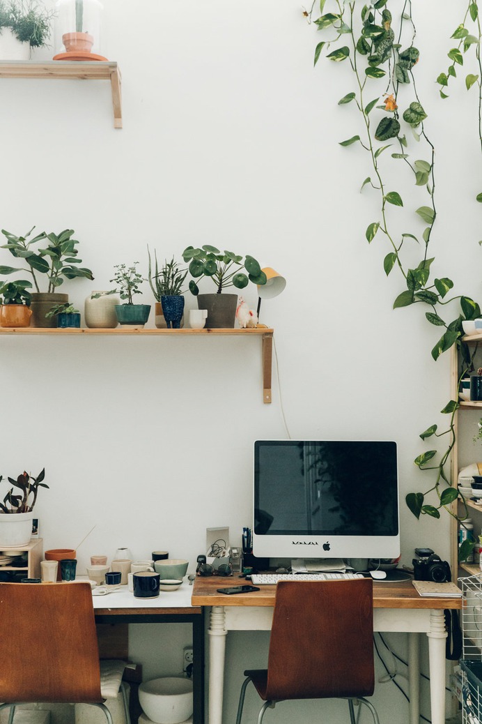 The plant-filled ceramics studio of Studio Hear Hear in Amsterdam.