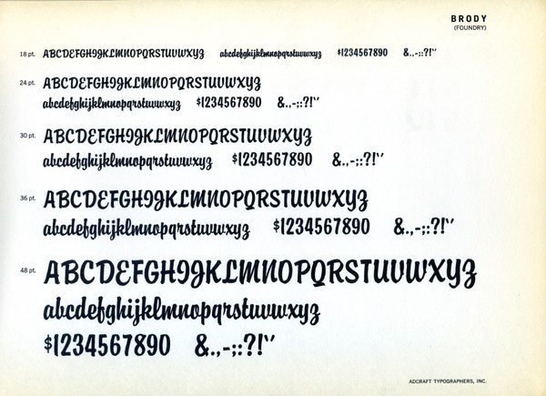 Brody type specimen #type #specimen