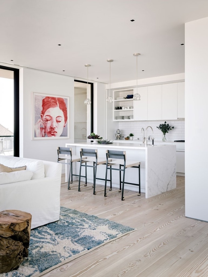 San Francisco Modern House