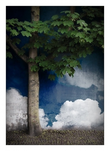 Tree by ~lassekorsgaard on deviantART #clouds #concrete #tree #sky