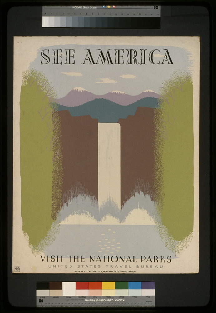 NPS Poster