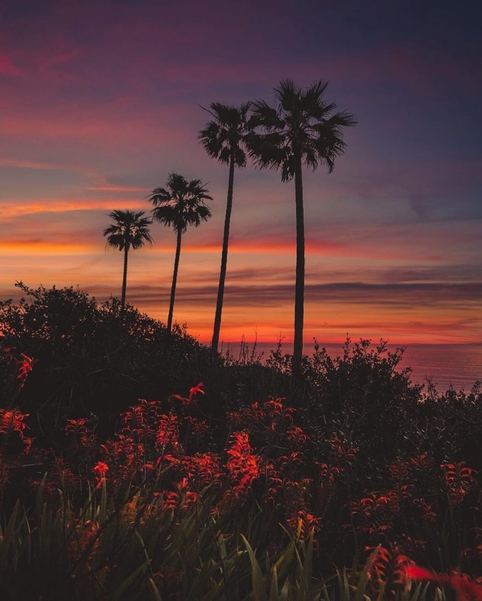 Dreamlike Landscapes of San Diego by Alec Basanec