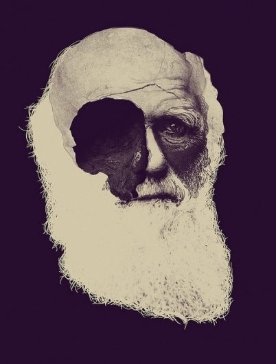 Todos os tamanhos | darwin | Flickr – Compartilhamento de fotos! #illustration #darwin