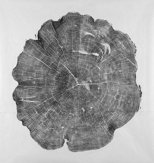 Inspiration Iacoli #wood #print #inck