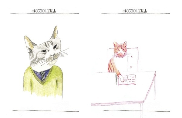 Cicciolina the Cat : Jung Eun Park Illustration #illustration