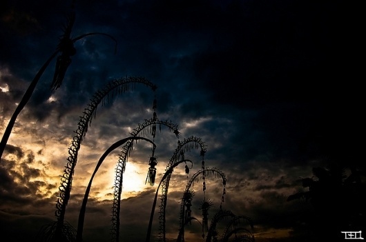 Photography by Teo Morabito | Professional Photography Blog #photography
