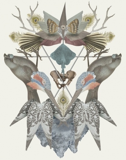 YASLY / SELECTED WORKS / Various Apparel #illustration