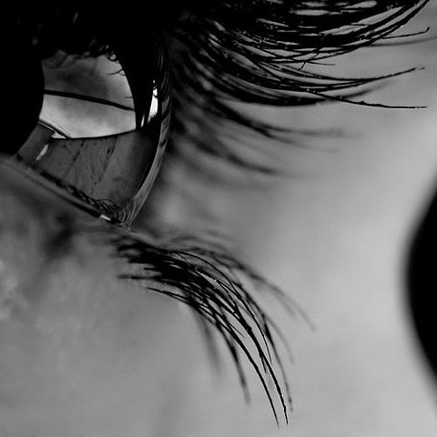 8b142ac17bc3fa3ec0a5fc1198a94f3965a97c9d_m.jpg 480×480 pixels #eye