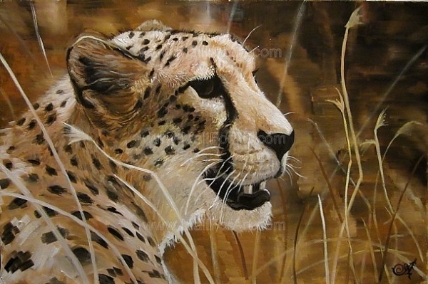 A different interpretation of realistic art - Angel Ivanov's paintings #cheetah #realism #portrait #painting #paintings #art #animal #oil