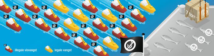 Infographic for Greenpeace by The Ad Agency