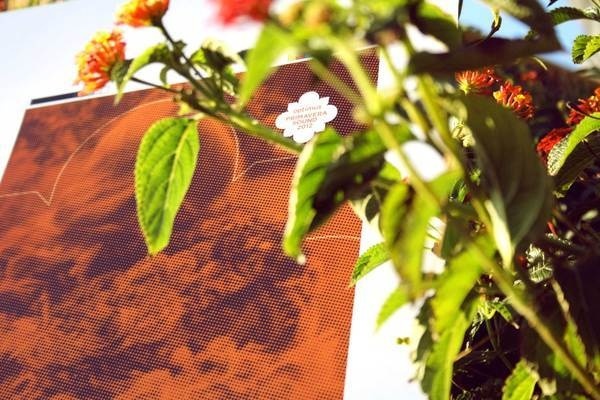 Optimus Primavera Sound 2012 #del #lana #design #graphic #rey #flower #editorial
