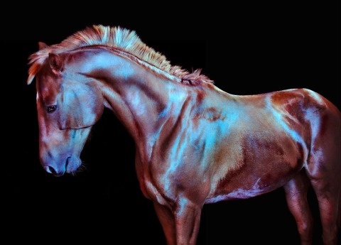Andrew McGibbon | PICDIT #photo #photography