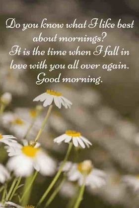 Good Morning Quotes and Wishes