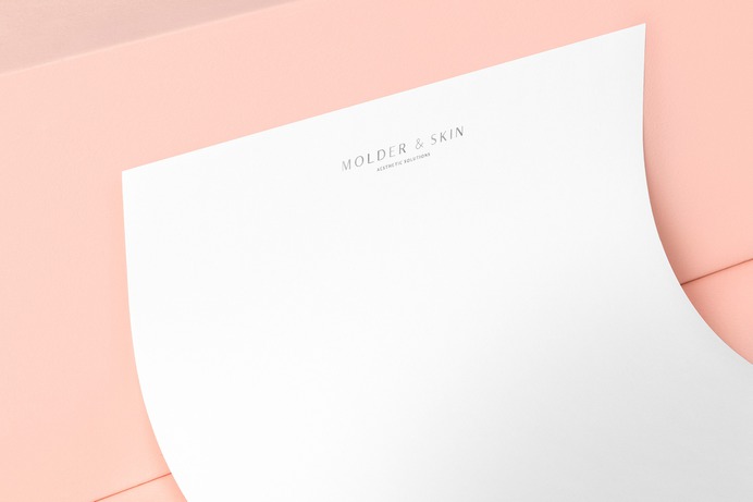 Reset Co. | Molder & Skin | Branding
