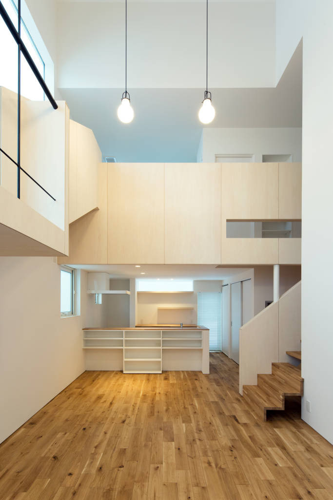 A House with a Slide