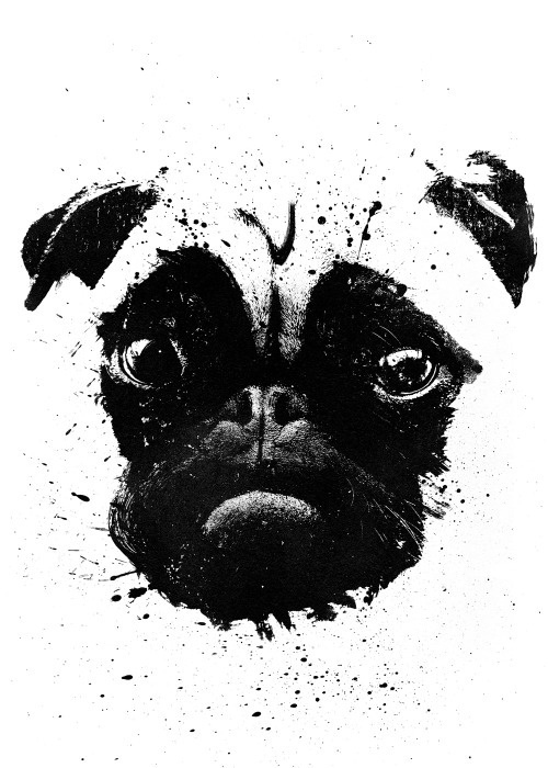 #pug #dog #ink #face #cute #poster