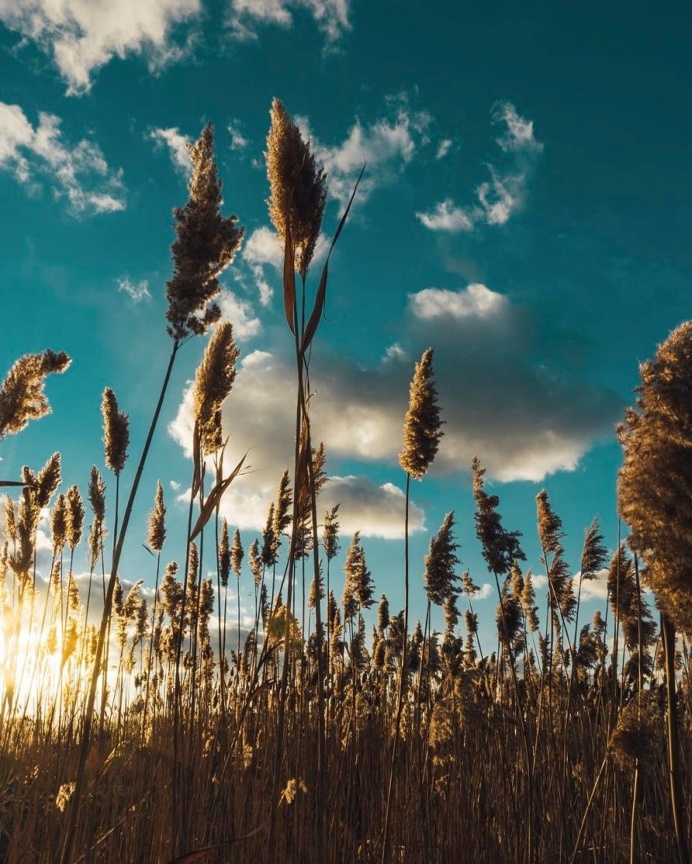 Magnificent Travel Landscapes by Eric Ward