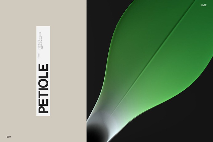Petiole Vase Concept - Mindsparkle Mag Laguta & Laguta and Anton Kozhevnikov designed Petiole Vase Concept: A vase with a shift. Minimalist, organic, balanced. #product #interior #identity #branding #design #color #photography #graphic #design #gallery #blog #project #mindsparkle #mag #beautiful #portfolio #designer