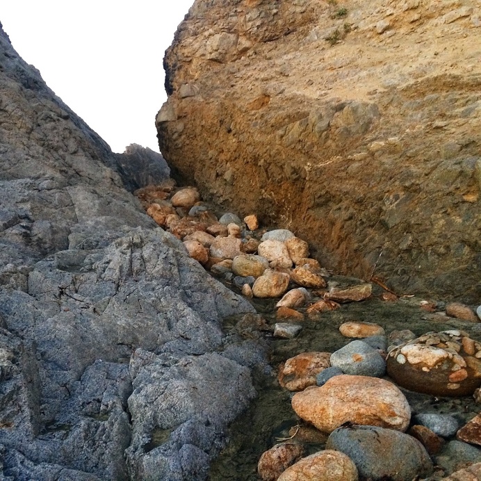 point reyes california