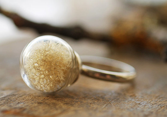 Poetic Jewels Containing Real Flowers-21 #jewelry #ring #plants