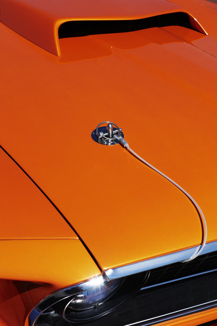 mustang, orange