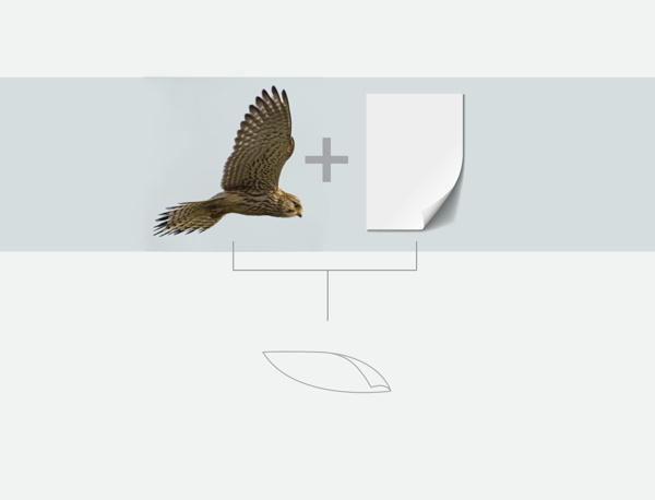 Publishing House Logo on Behance #house #bird #publishing #brand #fly #identity #logo #paper
