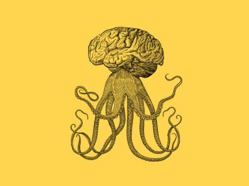 Brain_octopus
