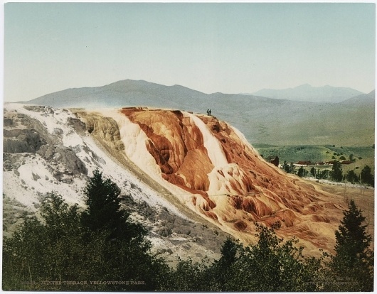 American Tint - 50 Watts #photochrome #photography