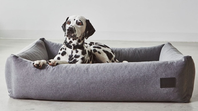 Divo Box Dog Bed