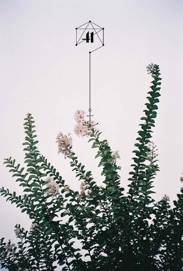 Trent Alexander Hernandez #inspiration #design #flower #art
