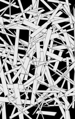 #blackandwhite #jameszanoni #graphic #illustration #composition