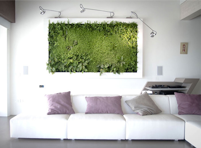 Green Vegetable Pictures By Sundar Italia - #decor, #interior, #homedecor,