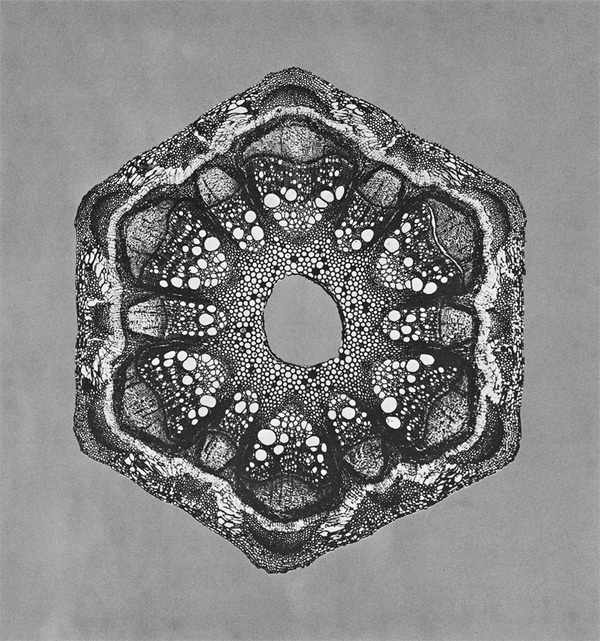 but does it float #hexagon #organic #science #cells