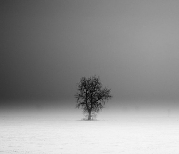 Derek Toye #inspiration #white #black #photography #and