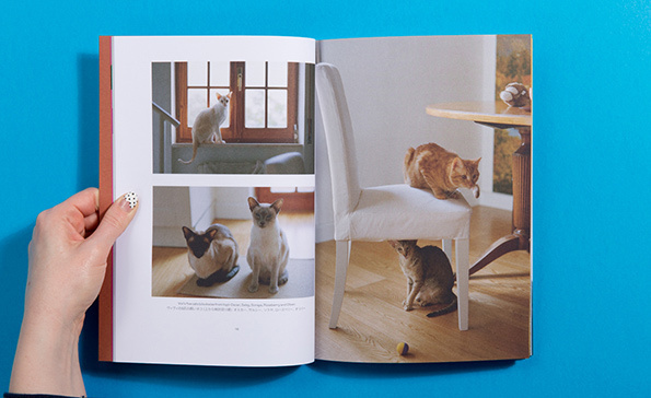 4 #inspiration #design #cat #people