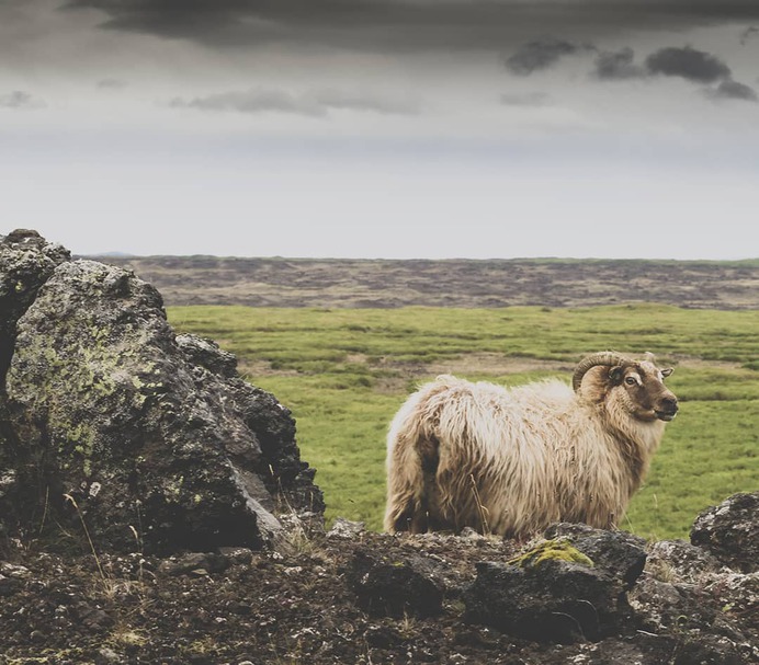 Iceland .. . #beyondthelands_ #folkscenery #earthofficial #icelandair #roam #roamtheplanet #lensbible #canon_photos #ourplanetdaily #wildernessculture #travel #earthfocus #visualsofearth #electic_shotz #iceland #intotheglacier #earthpix #stayandwander #greatnorthcollective #discoverglobe #exploretocreate #landscapelovers #geysiradventure #livingonearth #ig_iceland #igersiceland #ísland by @snorri.photo