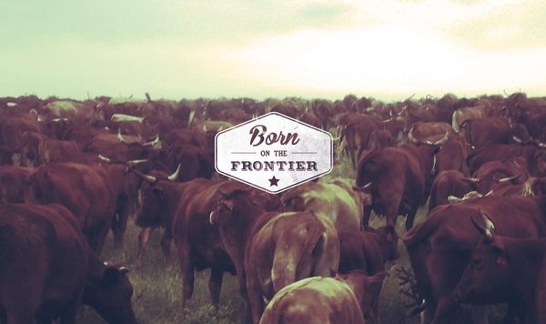 DEVELOP #western #west #design #retro #vintage #cowboy #desert
