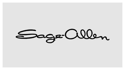 department-store-logo-sage-allen-1970s.jpg (480×270) #script