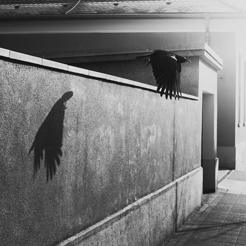 Photographer Martin Gommel #gommel #martin #photographer