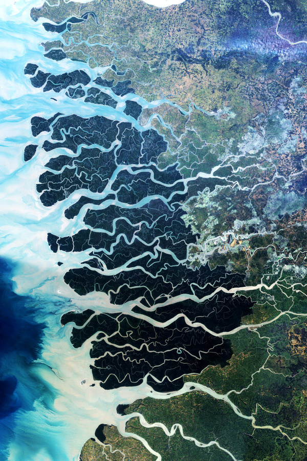 The Sundarbans is the largest single block of tidal halophytic mangrove forest in the world which covers parts of India and Bangladesh by NA #water #aerial #landscape #earth #photography #nature #floodplain #river #beauty
