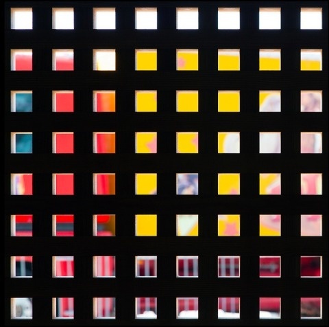 Barbera | PICDIT #photos #photo #color #design #photography #art