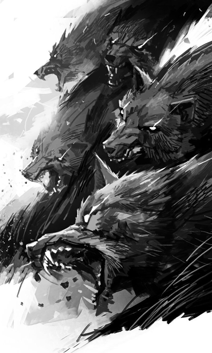 wolves by michalivan