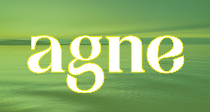 Agne Free Font For Commercial Use https://cool3sixty.com/53-free-fonts-for-commercial-use-best-for-designers/