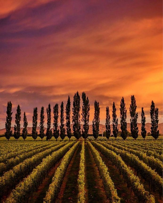 Nico Babot Captures the Beauty of New Zealand Through Landscapes