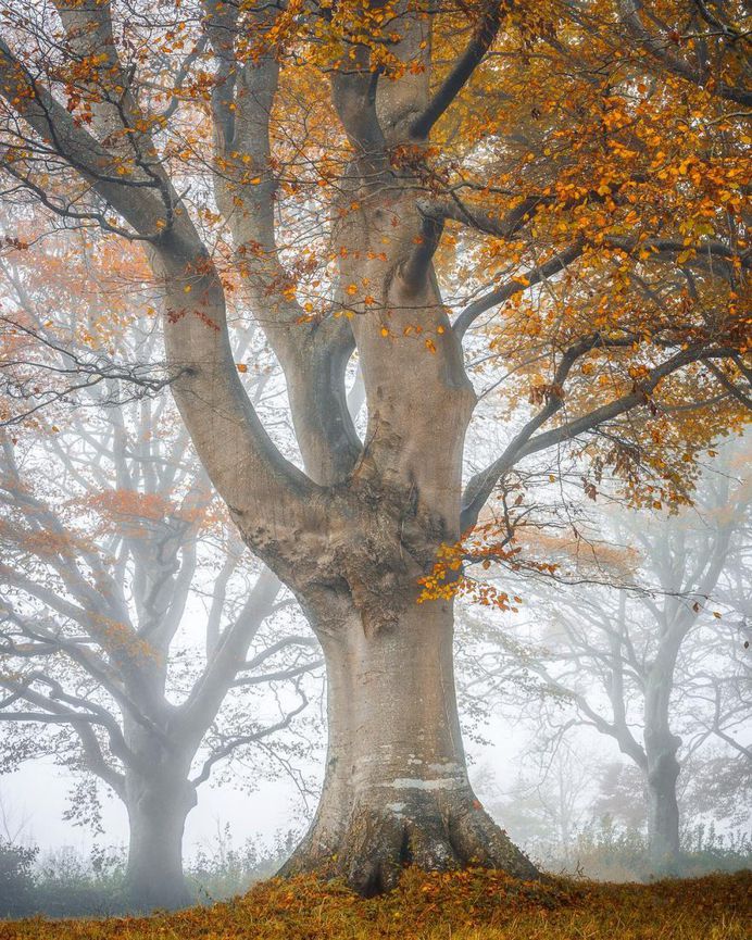 Beautiful Travel and Landscape Photography by Dan Tucker