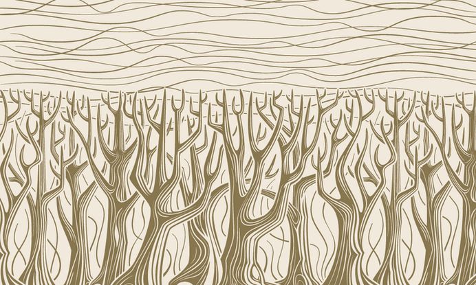 MT_2015_Fontacular_news_bkgd_Forest Gold-Creme day.png