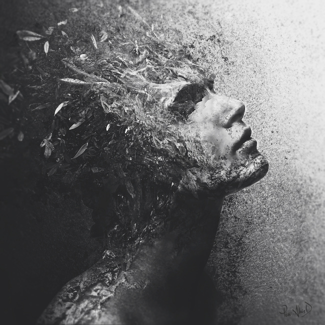 "Attrition" by Pierre-Alain D. #white #attrition #black #texture #wood #portrait #nature #surreal #dark #leaves