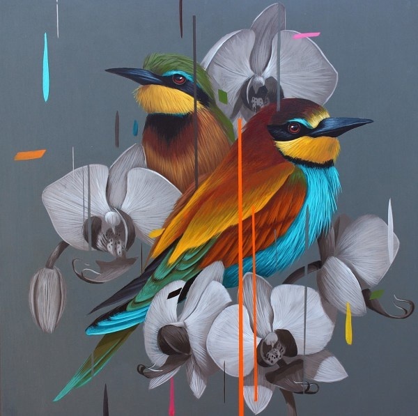 Frank Gonzales | PICDIT